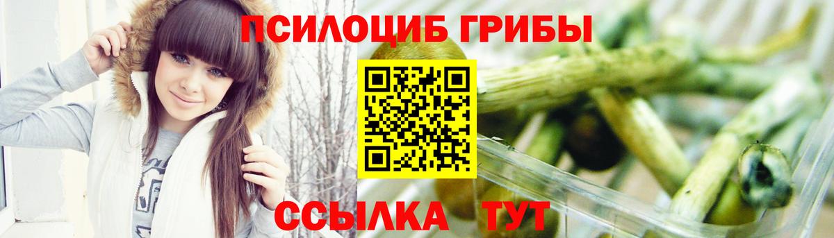 Джанкой  Галлюциногенные грибы Psilocybine cubensis  где можно купить наркотик  Вход с VPN 
